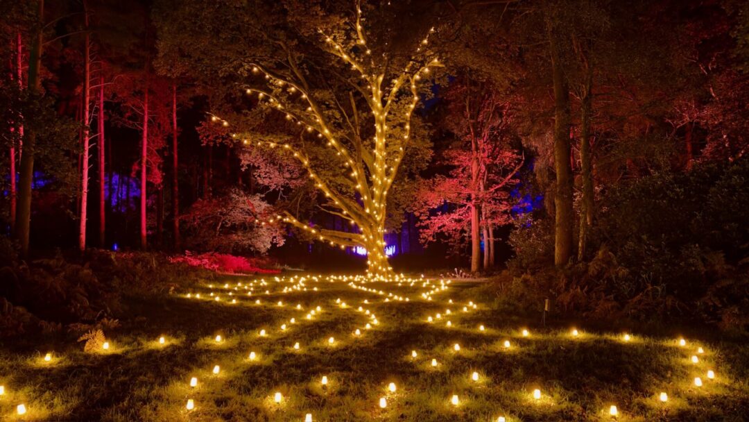 "Luminate" at Sandringham, the Royal residence.