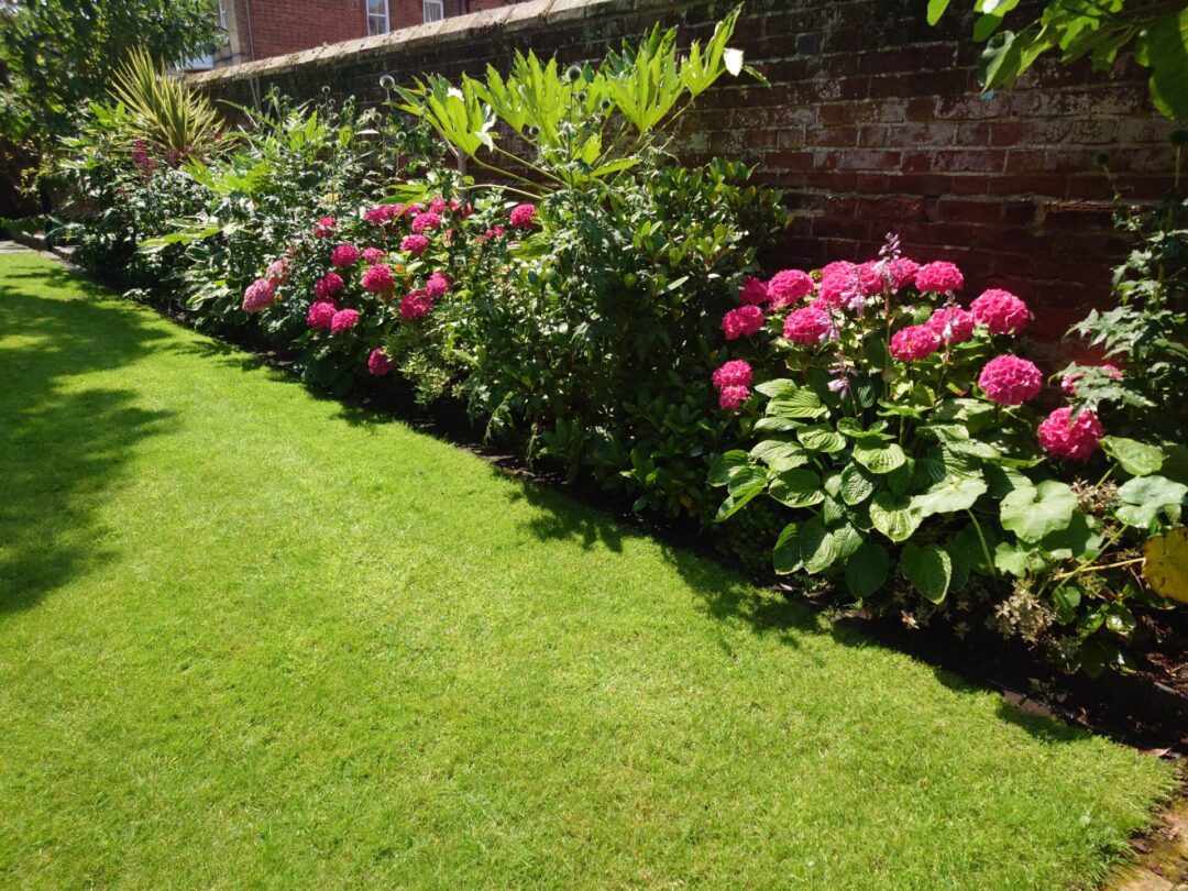 Colourful border at North Cottage Cromer. The gardens are biodiverse and attract a wide variety of birds, insects and small mammals like hedgehogs.
