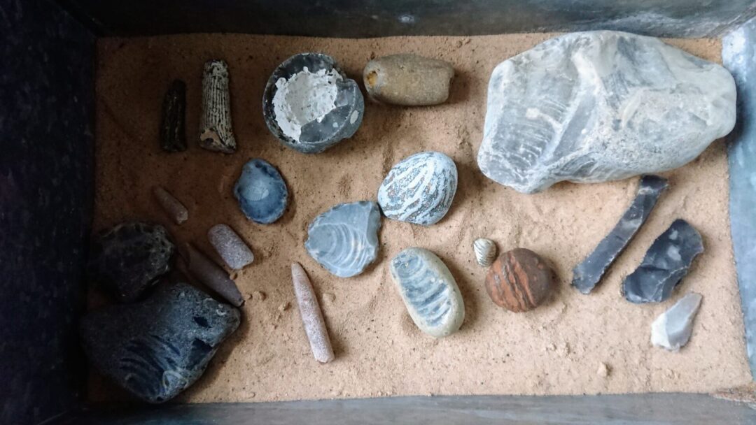 The fossil collectors case at North Cottage Cromer. North Norfolk is the Deep History Coast - some of these fossils are millions of years old.