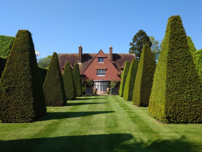Old Vicarage Garden East Ruston. Fabulous topiary