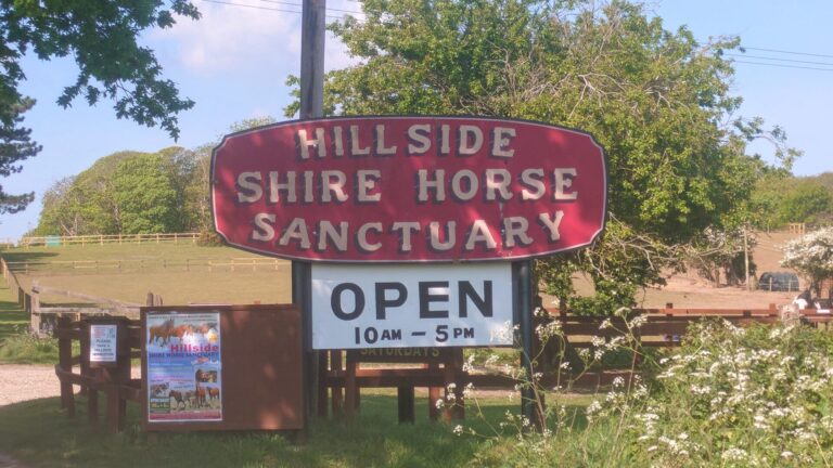 Hillside Shire Horse Sanctuary sign - East Runton, Norfolk