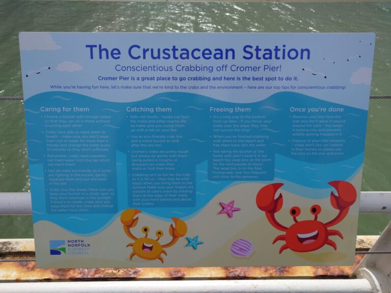 Sign explaining conscientious crabbing on Cromer Pier
